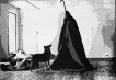 Coyote (I Love America and America Loves Me), After Joseph Beuys
