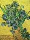 Irises, After Van Gogh