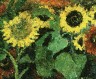 Sunflowers, After Emil Nolde