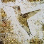 Hummingbird, Scrap Metal (2012)