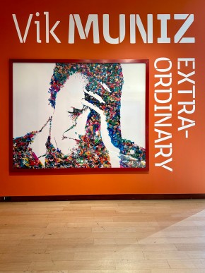 IMG_8422Vik Muniz: Extra-Ordinary Installation View 3