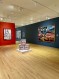 Vik Muniz: Extra-Ordinary Installation View 10
