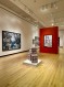 Vik Muniz: Extra-Ordinary Installation View 11