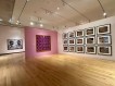 Vik Muniz: Extra-Ordinary Installation View 18