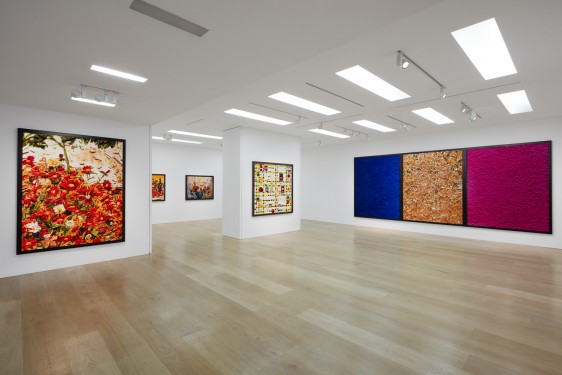 01 - Vik Muniz - Metachromes - Ben Brown Fine Arts