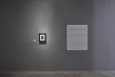 Muniz installation view SJCo 10-2019-18