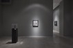 Muniz installation view SJCo 10-2019-23