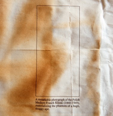 A remarkable photograpgh of the Polish Medium Franek Kluski (1860-1949), materializing the phantom of a huge shaggy ape.