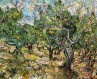 Olive-Trees_8x10@300dpi