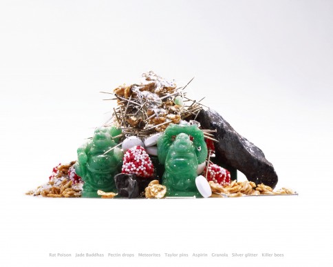 mound #1 Rat Poison Jade Buddhas Pectin drops Meteorites Taylor pins Aspirin Granola Silver Glitter Killer bees