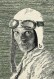 AmeliaEarhart_8x10@300dpi