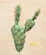 Cactus (Trio) 8x10_300dpi